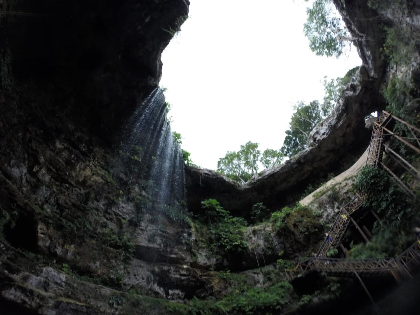 Vista desde el fondo de un cenote abierto hacia el anillo de selva y una cascada delgada que baja por la roca