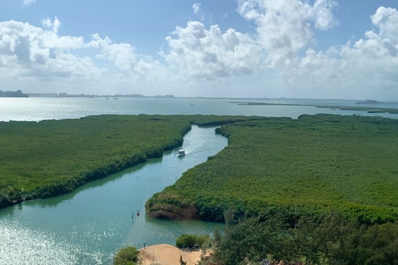 Cancun Jungle Tour 2