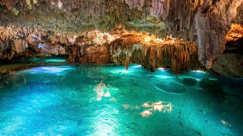 Swim with Sea Turtles & Cenote 2