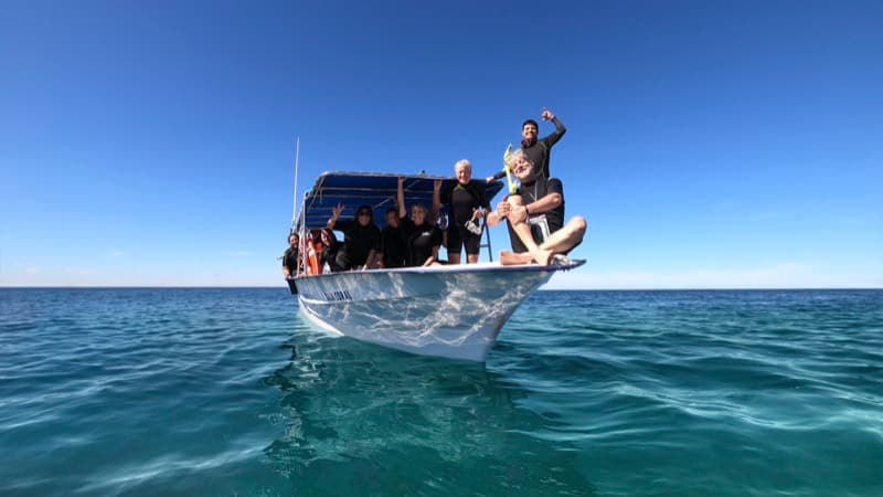 Encuentro con Tiburón Ballena 3